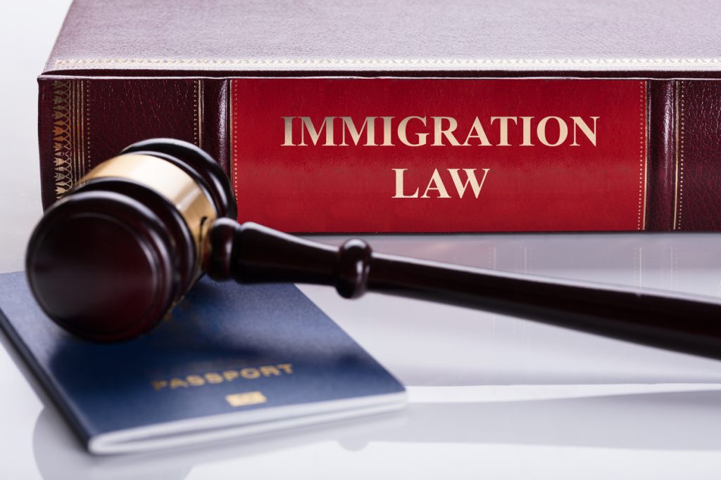 Immigration lawyer